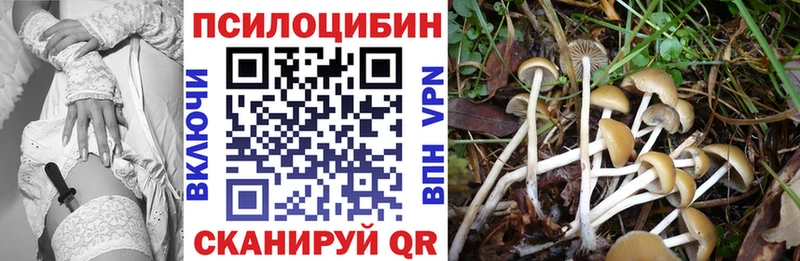 купить закладку  Верхняя Салда  блэк спрут зеркало  Псилоцибиновые грибы MAGIC MUSHROOMS 