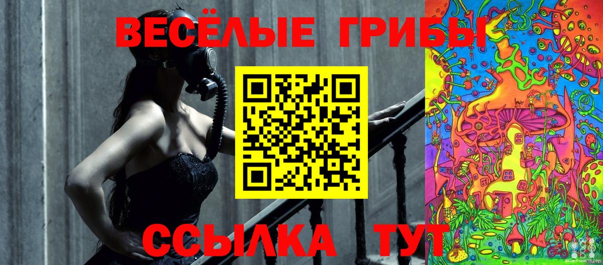 Псилоцибиновые грибы Cubensis Верхняя Салда