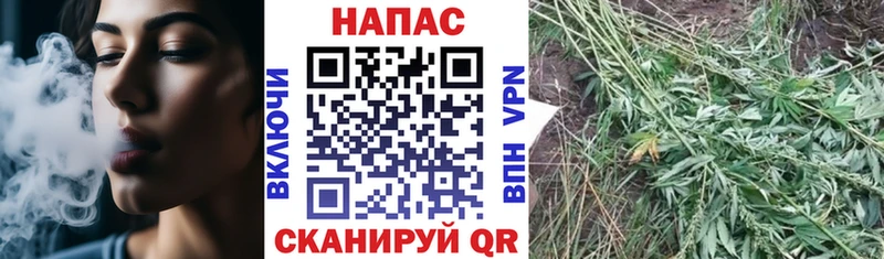 где купить наркоту Верхняя Салда Бошки Шишки OG Kush